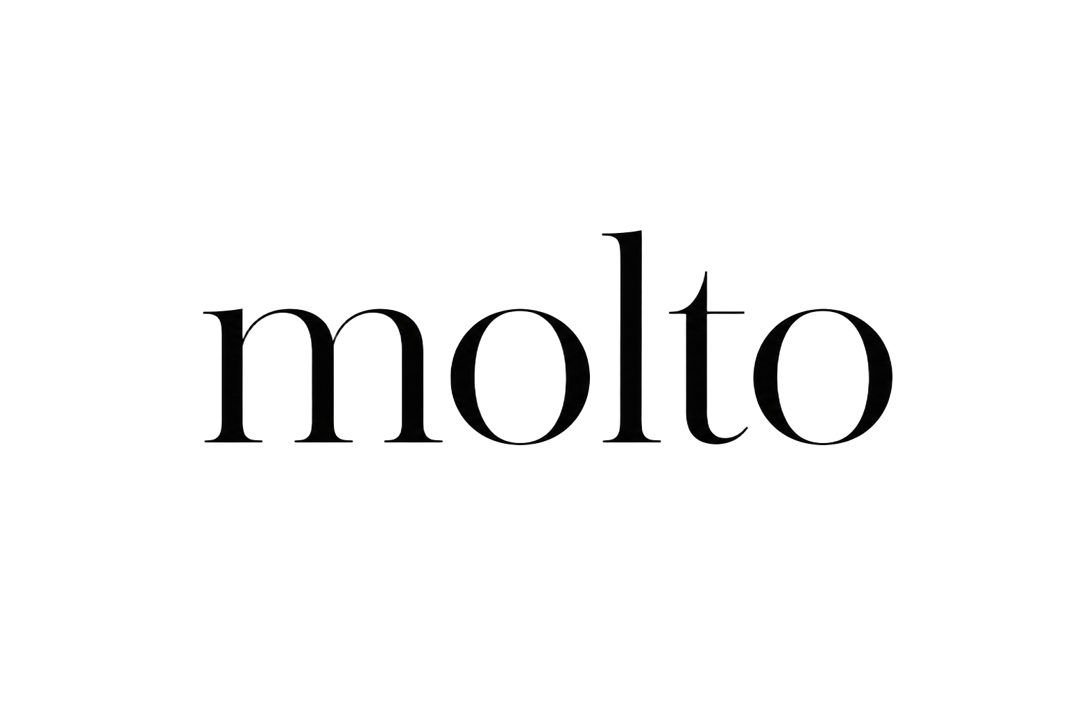 Molto company logo